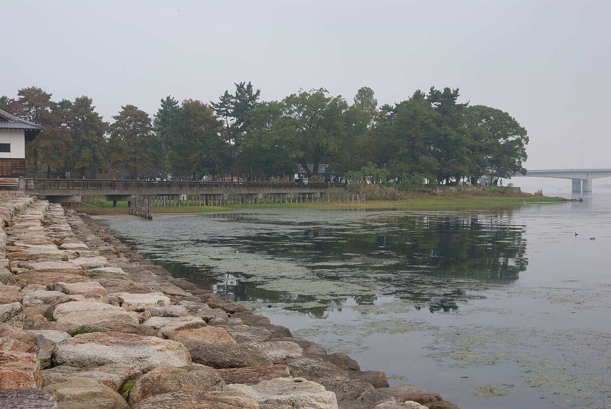 🌳 제제 성터 공원(젠쇼조세키코엔) 이미지 8